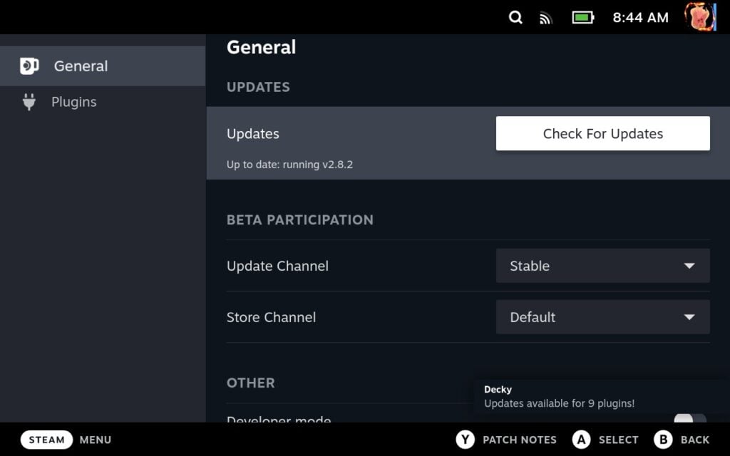 DeckySettingsGeneral