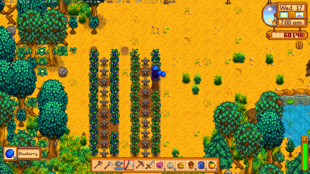 StardewValleyOneXFly1